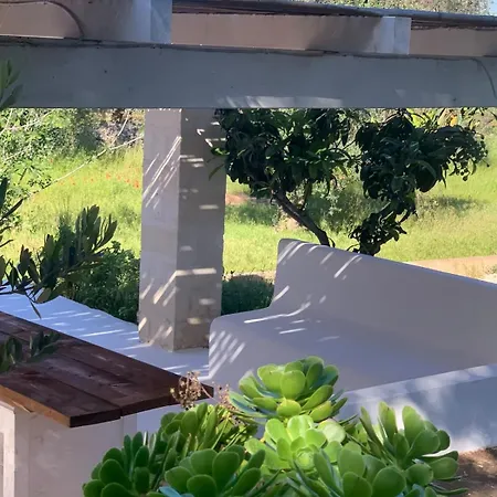Villa Casale Uliveta *